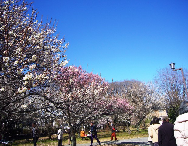 P1050646