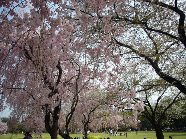 市民の森２